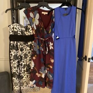 Gorgeous Lot of 8 dresses and 3 tops